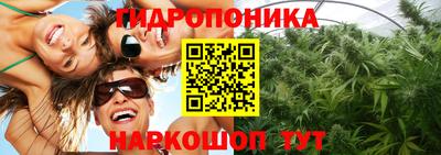 трава Аргун