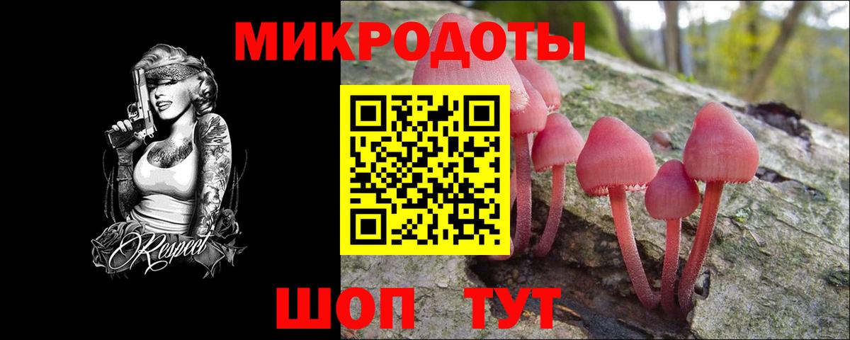 Волжский  Галлюциногенные грибы Cubensis  Вход с VPN 